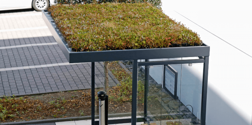 Bushokje met transparante wanden en een groen sedumdak, geplaatst op een betegeld terrein naast een parkeerplaats.