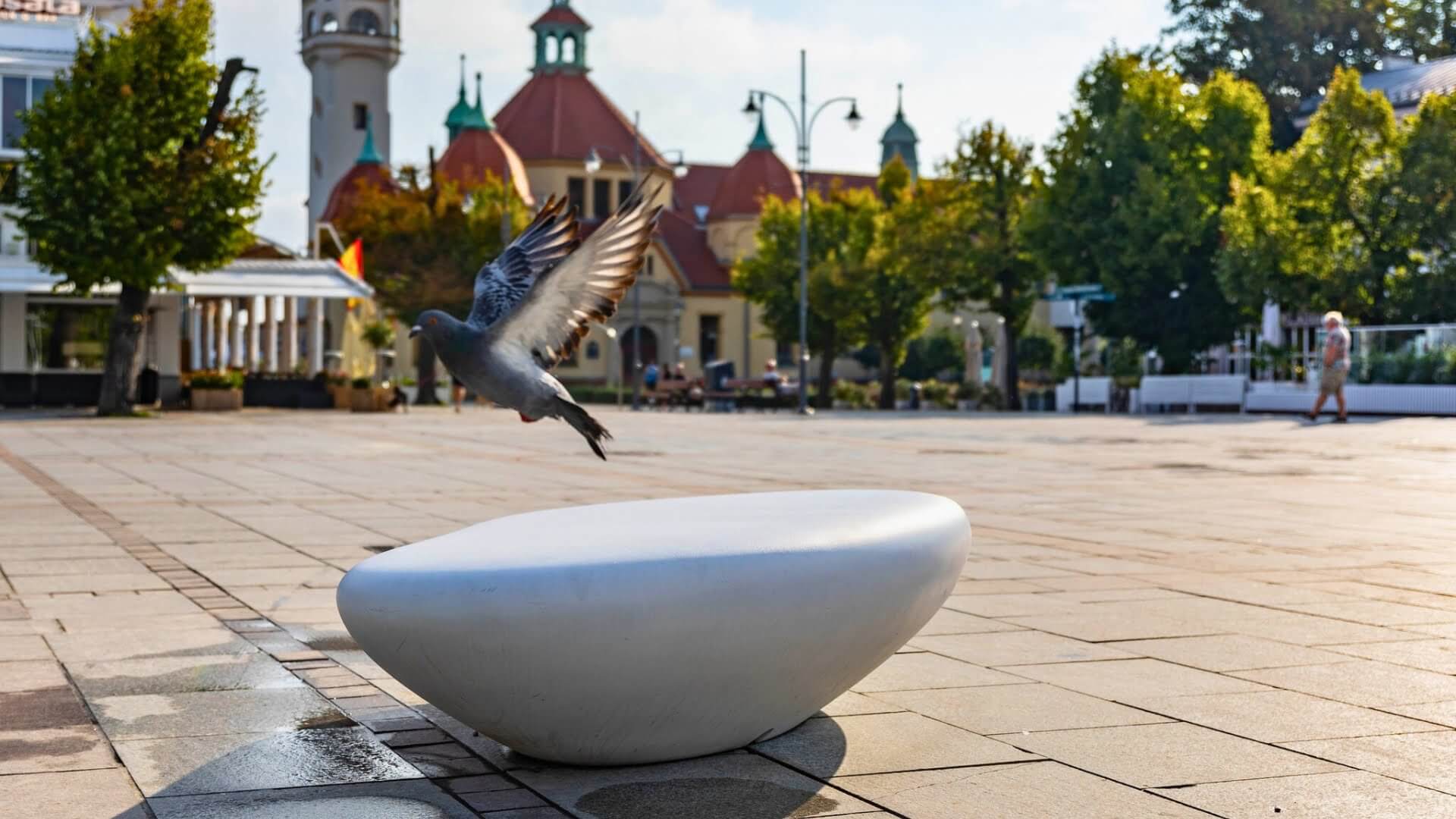 Organisch gevormd betonnen zitelement op een stedelijk plein met duif in vlucht op de voorgrond.