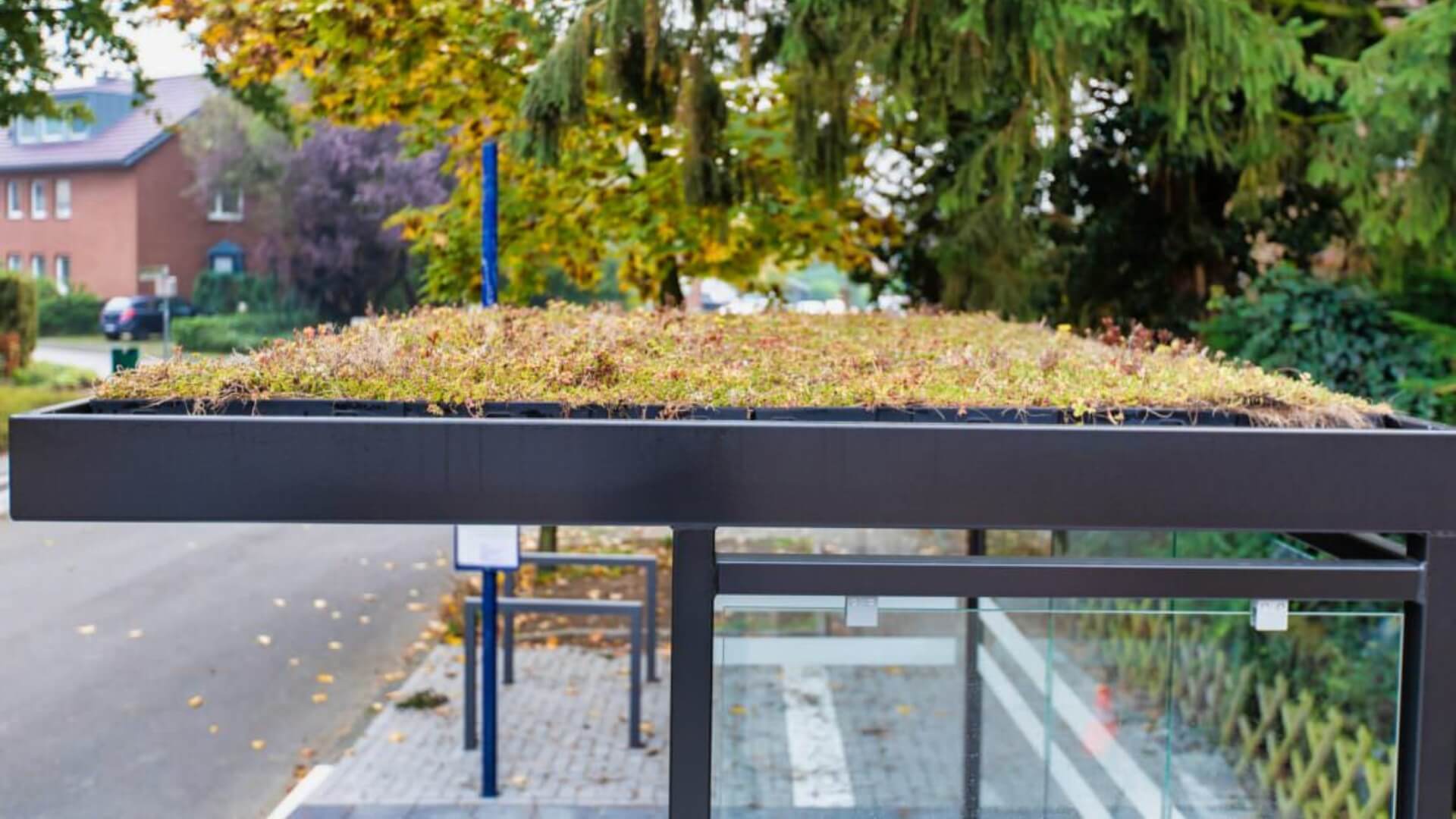 Rookruimte voor bedrijven met sedumdak, glazen wanden en antraciet stalen frame van 4x2 meter