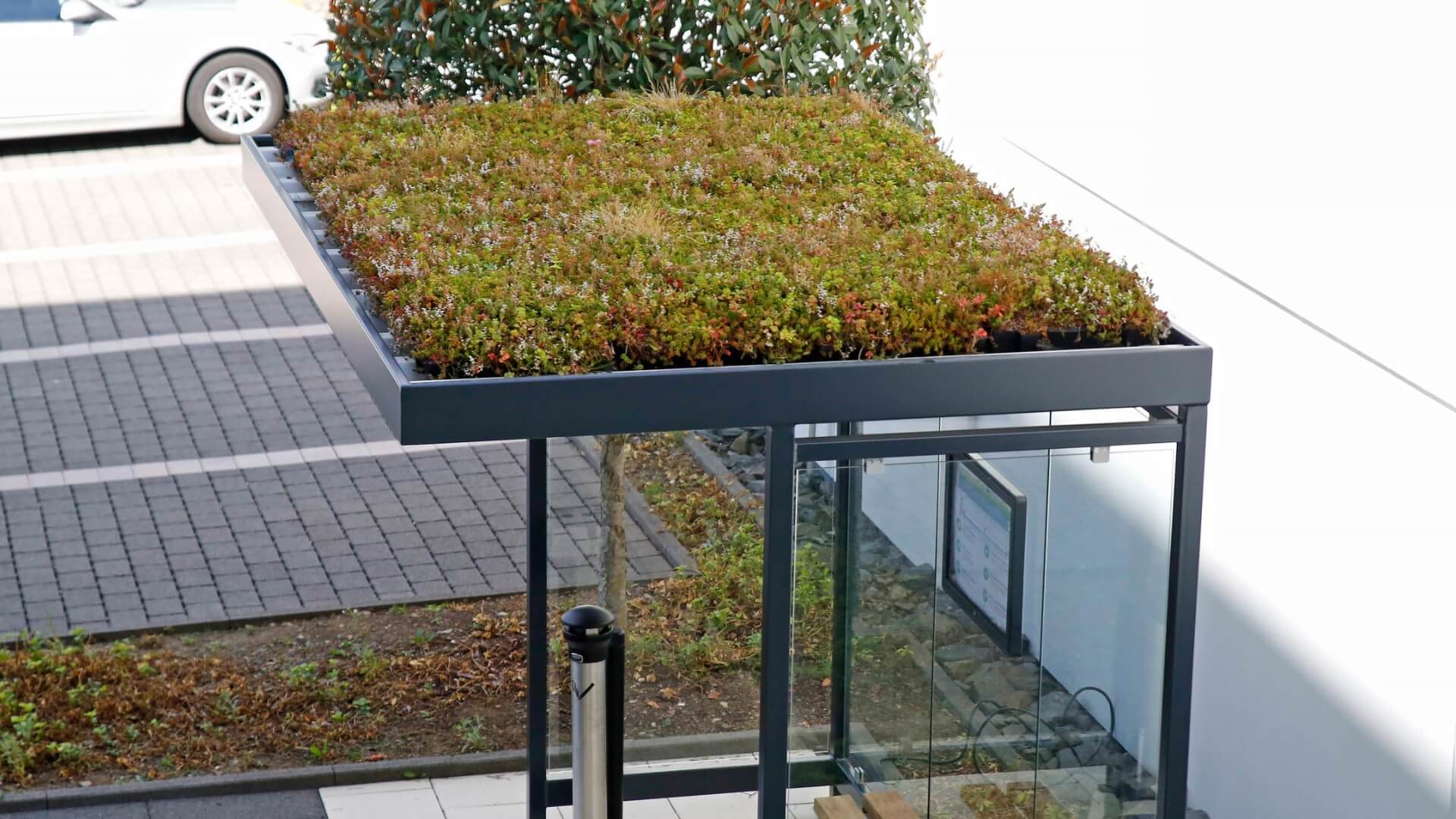 Rookabri met sedumdak met dichtbegroeid groen dak op stalen constructie bij een parkeerplaats.